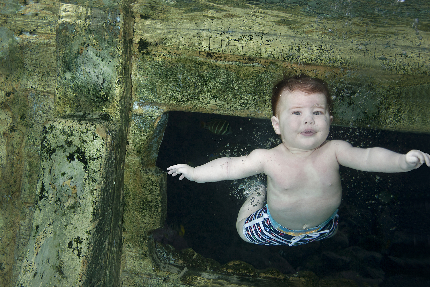 underwater baby